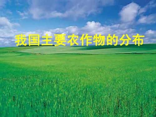 中国农作物分布